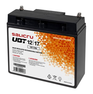 Salicru 013BS000004 blybatteri (VRLA) 12 V 17 Ah
