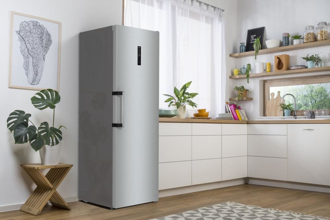 Gorenje R619EAXL6 lodówka Wolnostojący 398 l Szary