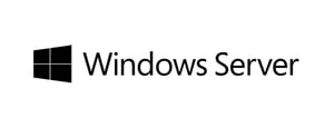 Fujitsu Windows Server 2025 Standard Base License 1 x licencja Licencja