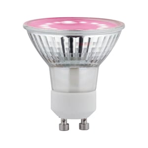 Paulmann 28974 Plant Grow Light LED Lighting