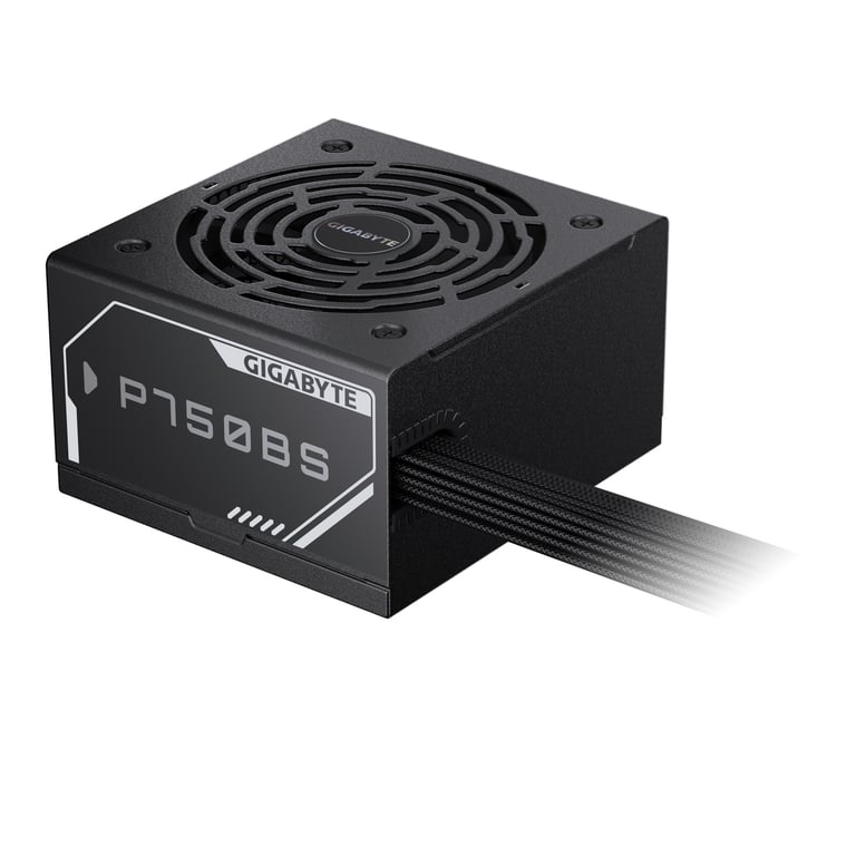 GIGABYTE P750BS moduł zasilaczy 750 W 20+4 pin ATX ATX Czarny
