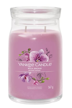 Yankee Candle Wild Orchid świeca Cylidner Orchidea Fioletowy 1 szt.