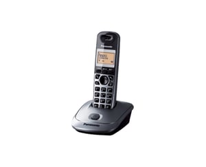 Panasonic KX-TG2511 DECT-Telefon Name und Identifizierung des Anrufers Grau