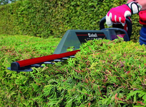 Einhell GE-EH 7067 Podwójne ostrze 700 W 3,73 kg