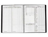 Accounting Books and Spreadsheets