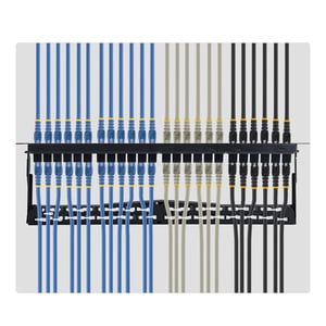 StarTech C6PANELUTP241UFT panel krosowniczy 1U