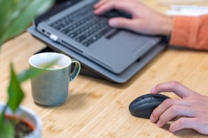 Trust Primo myszka Podróżniczy Oburęczny RF Wireless Optyczny 1600 DPI