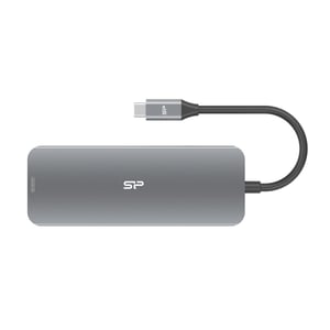 Silicon Power SR30 USB 3.2 Gen 1 (3.1 Gen 1) Type-C-Dockingstation, grau, metallisch