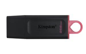 Kingston Technology DataTraveler Exodia USB-minne 256 GB USB Typ A 3.2 Gen 1 (3.1 Gen 1) Svart, Rosa