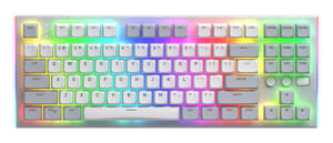 HATOR Gravity TKL Gaming-tangentbord USB QWERTY US English Vit