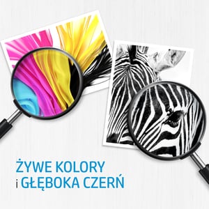 HP 300XL oryginalny wkład atramentowy trójkolorowy XL