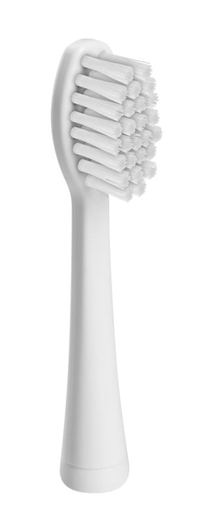 Eta Spare Brush, 2 pcs. White