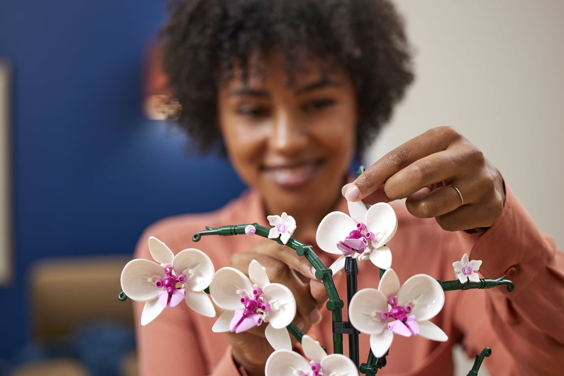 LEGO Botanicals Orchidea