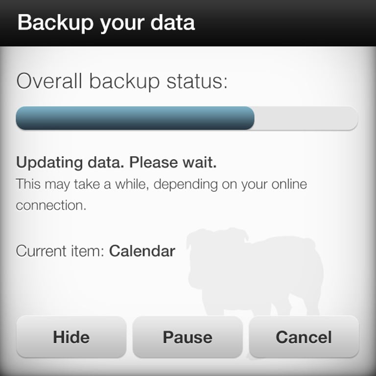 BullGuard Mobile Backup 12 Pełny Kopia zapasowa / odzyskiwanie 1 lat(a)