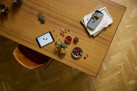 LEGO Botanicals Gwiazda Betlejemska
