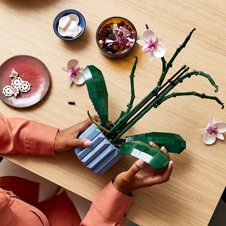 LEGO Botanicals Orchidea