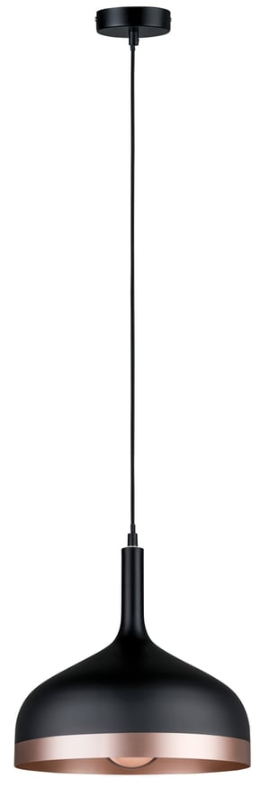 Paulmann 79629 takbelysning E27