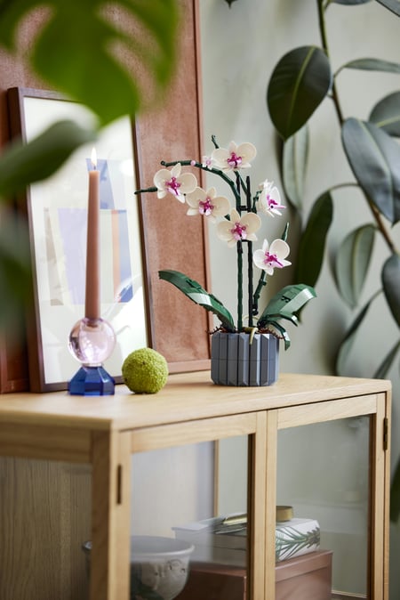 LEGO Botanicals Orchidea