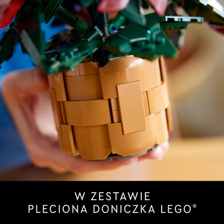 LEGO Botanicals Gwiazda Betlejemska