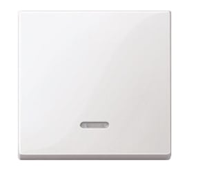 Merten 436019 Light Switch, Thermoplastic, White