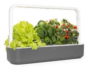 Click & Grow Smart Garden 9 hemträdgård Grå