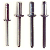 Rivets