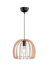 TRIO R30253030 E27 60 W ceiling light