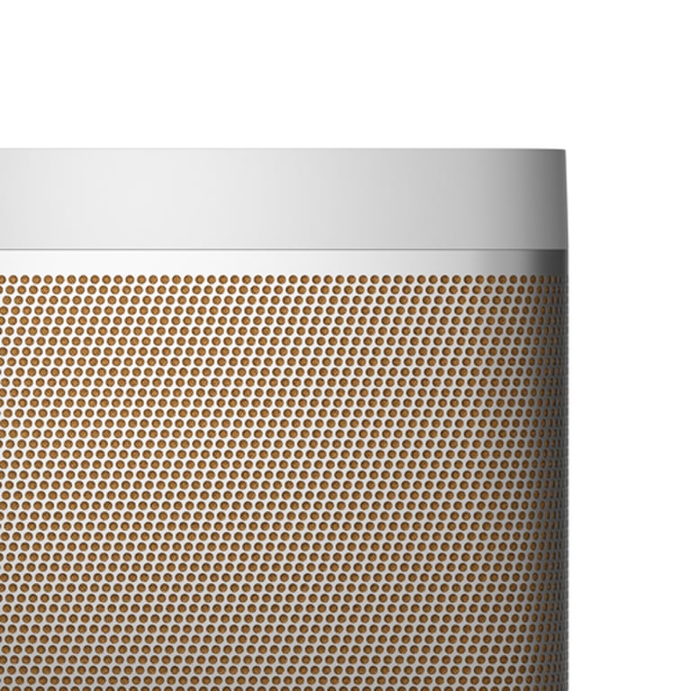 Bang & Olufsen Beolit 20 Przenośny głośnik stereo Szary