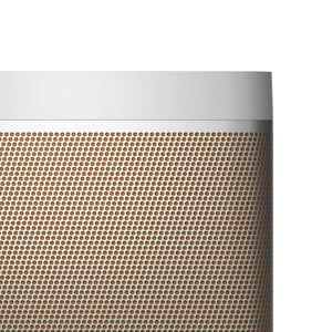 Bang & Olufsen Beolit 20 Przenośny głośnik stereo Szary