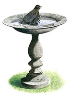 Vogelbäder