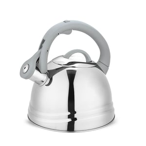 Feel Maestro MR-1304 Wasserkocher 2,5 l Grau, Edelstahl