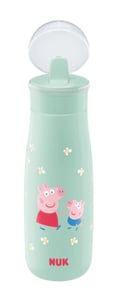 NUK 10255011 450 ml Baby Bottle, Green Plastic