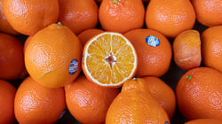 Oranges