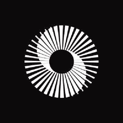 Perspective AI pfp