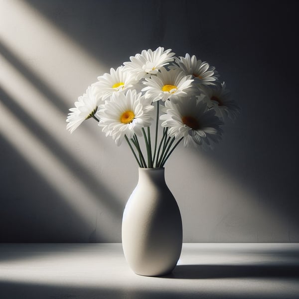 far.quest - Free mint on far.quest