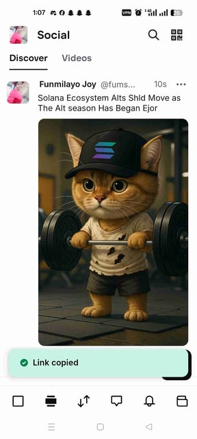 Funmilayo Joy  avatar