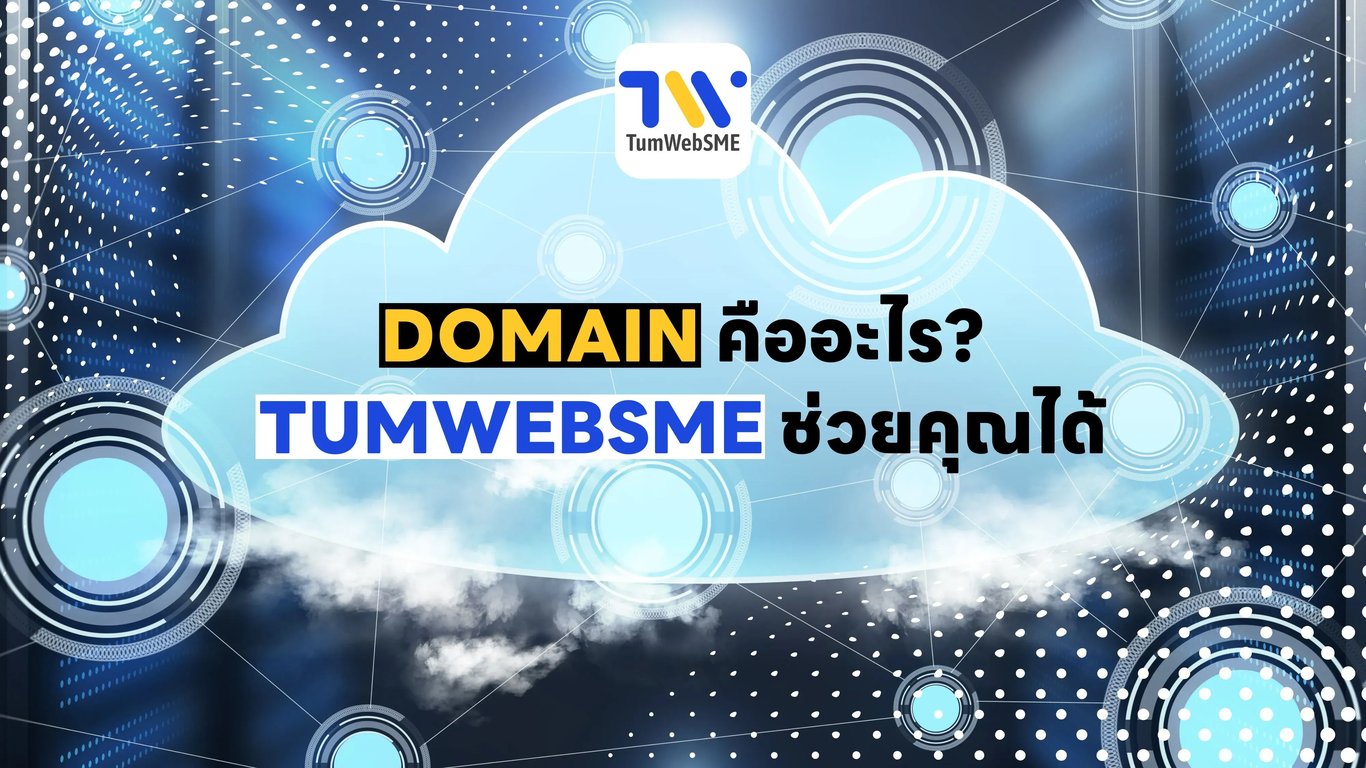 ความหมายของ Domain