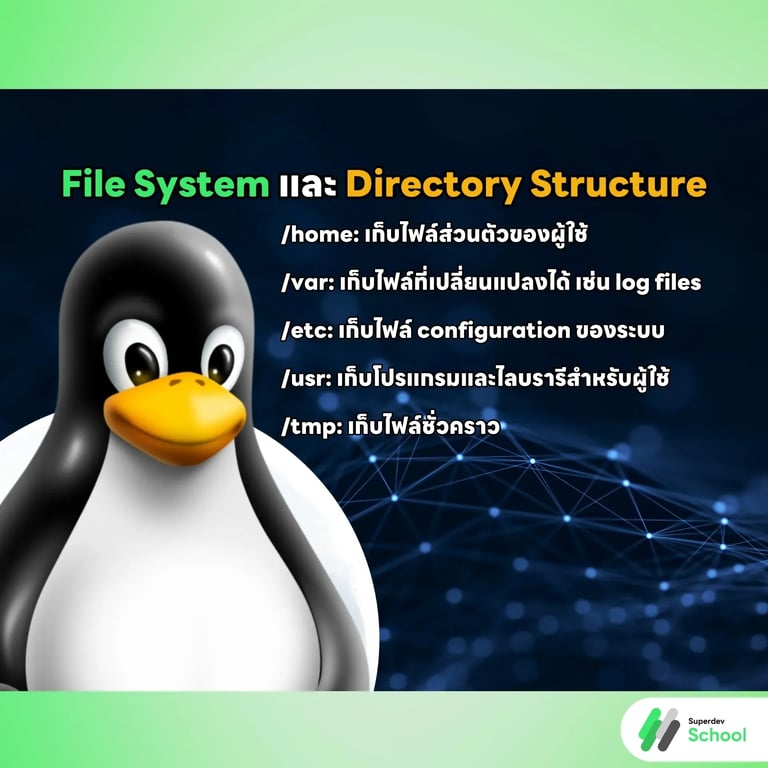File System และ Directory Structure.webp