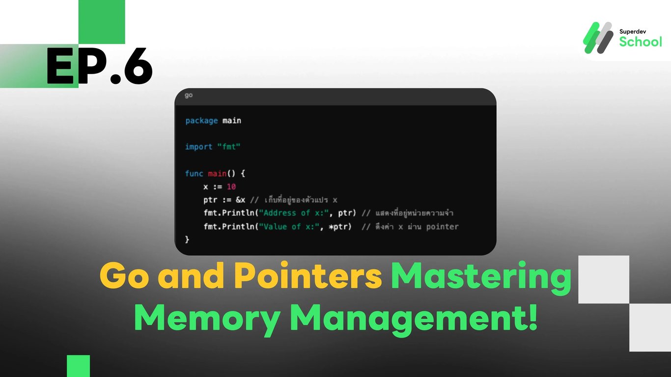 Using Pointers in Go Language