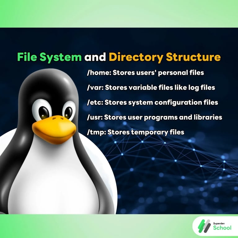 File System and Directory Structure.webp