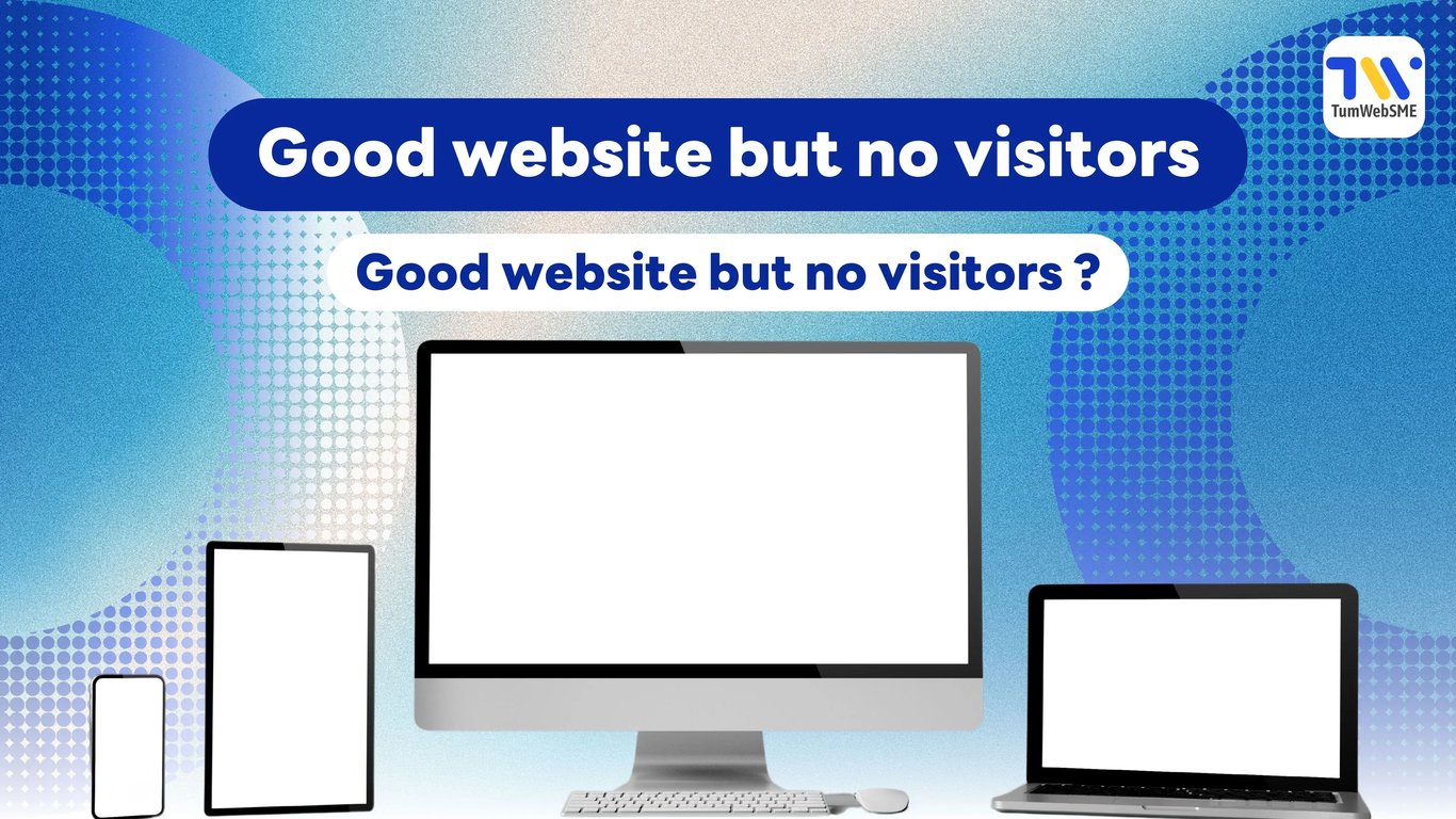 Key reasons why websites get no traffic: poor SEO, unclear UX, slow loading, and lack of promotion