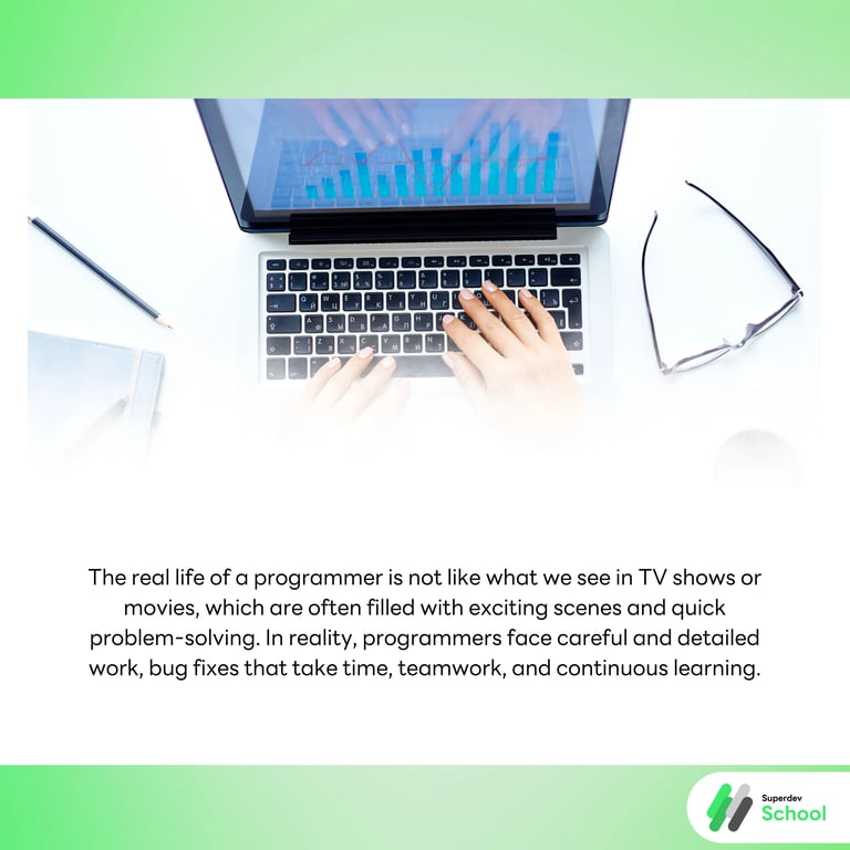The Real Life of Programmers: Not Like in the TV Series