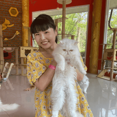 every_day_cat_hotel_profile