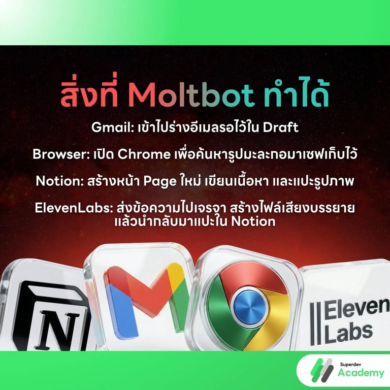 สิ่งที่ Moltbot ทำได้.webp