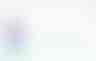 Screenshot: Throughput and request queue time metrics