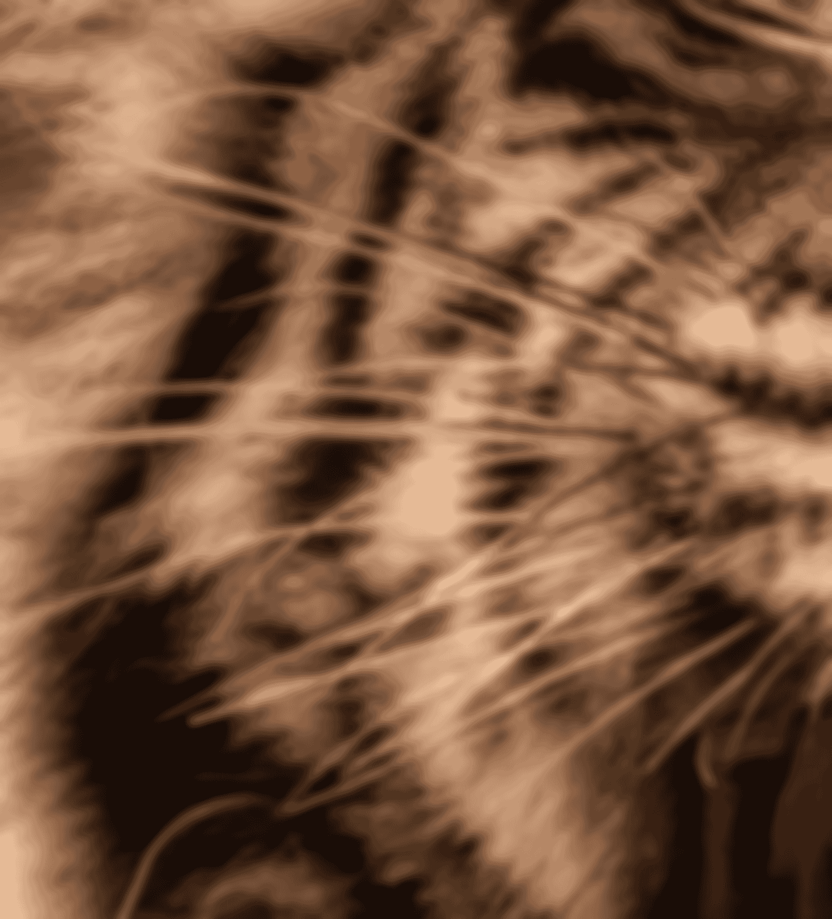 image-20240827064040442