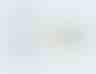 image-20240520140446125