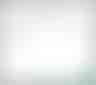 image-20240413065854229