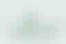 image-20240525081324330