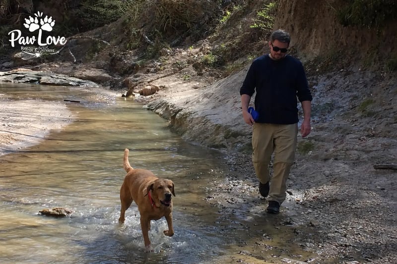 A person and dog walking together in a creek - PawLove Rescue keeps families and pets together